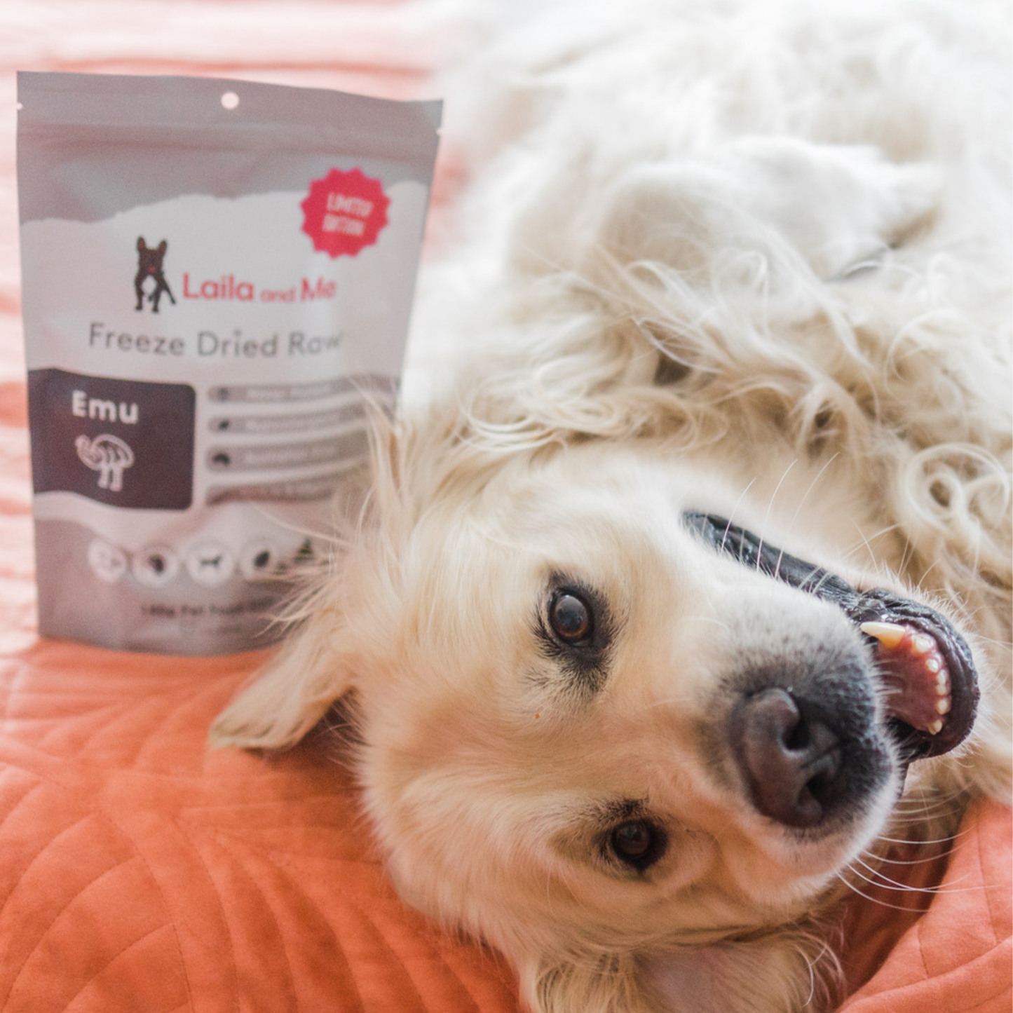 Freeze Dried Emu Dog Treats