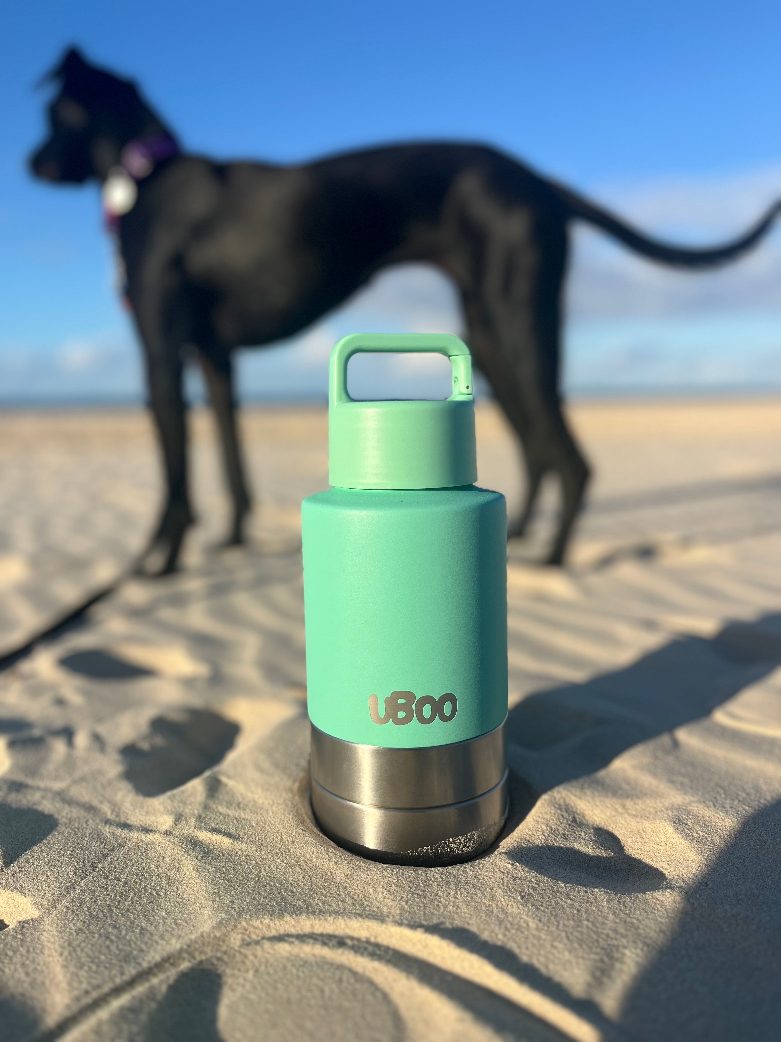 Dog water bottle